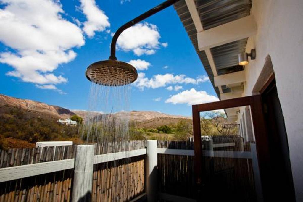 Vrisch Gewagt Boutique Self-Catering Olive Farm Guest House Prince Albert Rom bilde