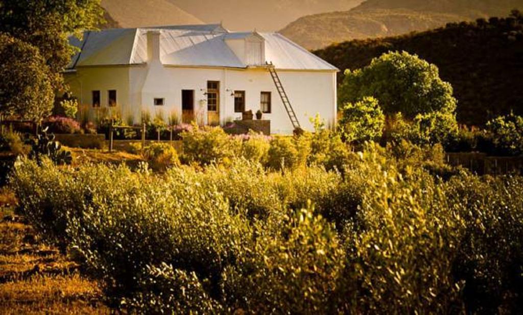 Vrisch Gewagt Boutique Self-Catering Olive Farm Guest House Prince Albert Eksteriør bilde
