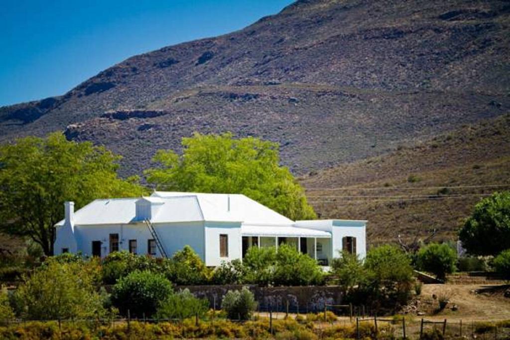 Vrisch Gewagt Boutique Self-Catering Olive Farm Guest House Prince Albert Eksteriør bilde