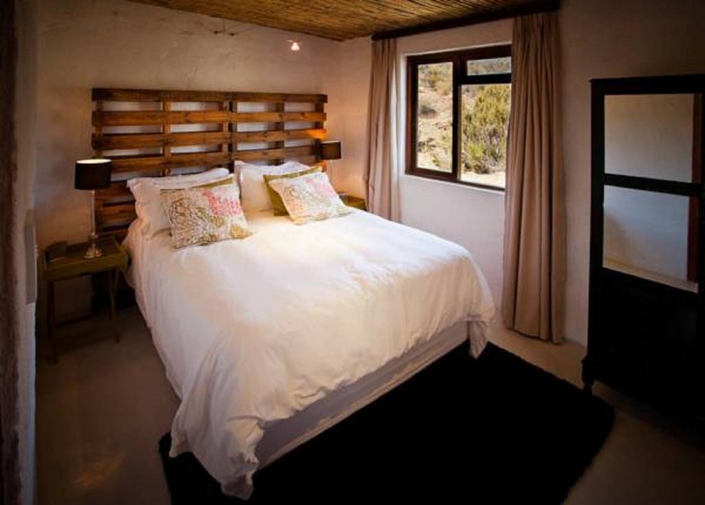 Vrisch Gewagt Boutique Self-Catering Olive Farm Guest House Prince Albert Rom bilde