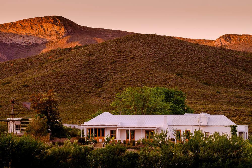 Vrisch Gewagt Boutique Self-Catering Olive Farm Guest House Prince Albert Eksteriør bilde